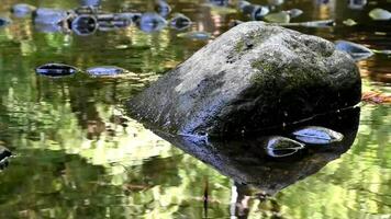 A serene and tranquil nature scene featuring beautiful rock reflections captured in calm water video