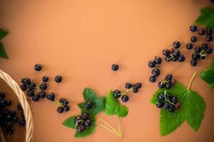 Scattered currant berries next to a basket on a brown background photo