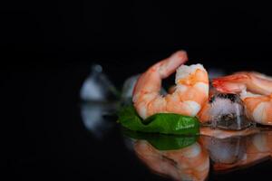 Still life with chilled shrimp, spices and ice cubes . photo