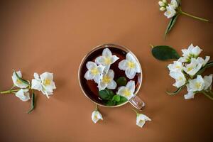 Brewed green tea with jasmine flowers on a brown background photo