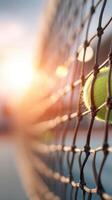 Tennis ball caught in net with warm sunlight and blurred background creating dynamic and energetic sports scene photo