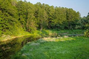 Small river near the water with a green forest in the back. Horizontal shot, perfect, quiet and beautiful place in nature for digital detox. green field on one side. Place for kayaking, rafting photo