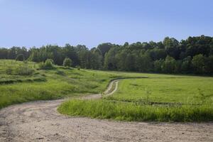 Long country road in a summer green field. A forest is visible in the distance. Beautiful blue sky. Spring landscape photo