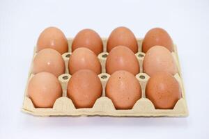 Fresh farm eggs arranged in a dozen carton ready for cooking or baking at home photo