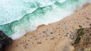 Static Aerial Shot of Busy Beach and Ocean Waves video