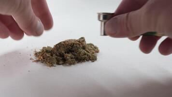 Closeup of hands loading marijuana into pipe video