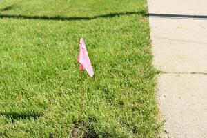 Pink Utility Flag in the Grass, Warning Residents, Contractors of Buried Line photo