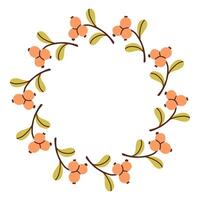 Fall simple berries circle frame. Round border made of fall berries. The berries have different shapes and are arranged in a circle. flat isolated on white background. vector