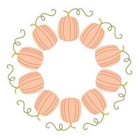 Pink pumpkin circle frame. Round border made of fall pumpkins. The pumpkins have different shapes and are arranged in a circle. flat isolated on white background. vector