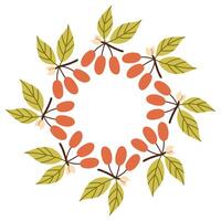 Simple autumn berries circle frame. Round border made of fall berries. The berries have different shapes and are arranged in a circle. flat isolated on white background. vector
