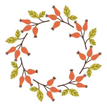 Fall berries circle frame. Round border made of fall berries. The berries have different shapes and are arranged in a circle. flat isolated on white background. vector