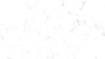 white marble background with a white marble texture vector