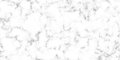 White Marble Stone Texture Background vector