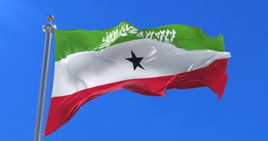 Flag of Somaliland waving at wind in slow in blue sky, loop video