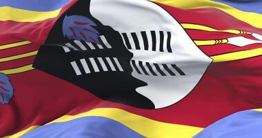 Flag of Swaziland waving at wind in slow in blue sky, loop video