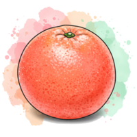 A vibrant grapefruit with watercolor splashes creating a fresh and juicy composition style artwork on transparent background png