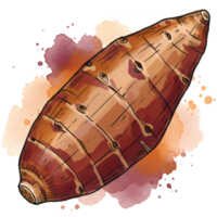 A stylized sweet potato with a watercolor wash behind it showcasing its texture and unique shape detail on transparent background png