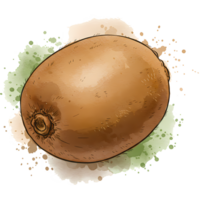 A single kiwi fruit with a watercolor splash effect on a plain studio type of background art style on transparent background png