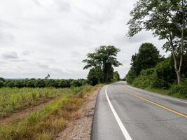 Asphalt Road Through Cassava Fields in Hilly Countryside. photo