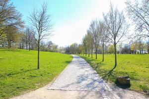 Spring Day in the Park with Grass and Trees photo