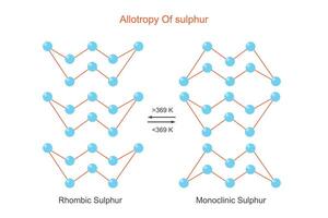 Allotropes of sulphur. Rhombic and monoclinic sulphur with same chemical properties but different physical properties. Chemistry illustration. vector