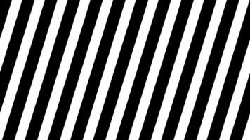Bold Black and White Diagonal Stripe Pattern video