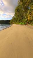 Cinematic low FPV drone flying over tropical beach with golden sand, palm trees, and ocean waves at sunset on remote island in Thailand. Ideal for travel, freedom, and summer nature themes. video