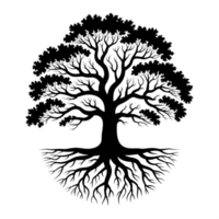 an intricate network of exposed roots png