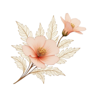 a Soft Blush Pink Bloom with Delicate. png