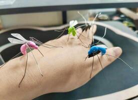 A person holding a small plastic mosquito on their hand photo