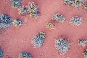 red badlands landscape with coarse vegetation in Colorado foothills, aerial view photo