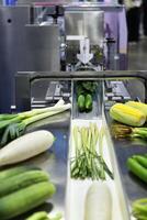 Fresh vegetables on conveyor belt being transported in food processing plant, food industry photo