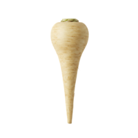 solteiro pastinaga em transparente fundo png