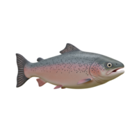 3d render do uma natação salmão em transparente fundo png