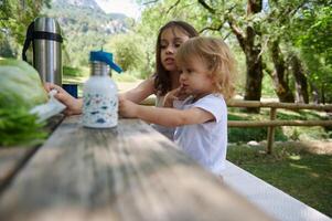 Family Outdoor Recreation With Children Seated at a Picnic in a Scenic Park photo