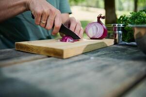 Person Cutting Red Onion on Wooden Board Outdoors in Bright Natural Setting photo