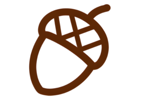Simple acorn icon design with a modern style and a transparent background. png