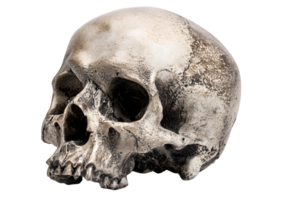 Stylized skull design with tribal patterns and vibrant colors on a transparent background in format. png