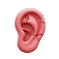 An illustration of a pink human ear is presented against a white background, which can be used for medical or educational purposes. png