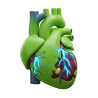 Green heart with glowing blue veins and red tissue, illustrating biological systems for educational purposes. png