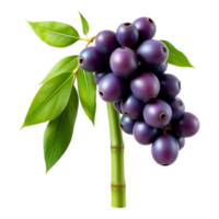 Cluster of Ripe Jamun Fruits with Green Leaves png