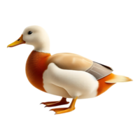 Charming 3D Render of a Colorful Duck png
