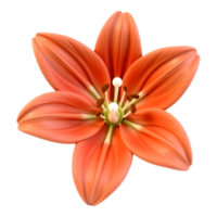 Vibrant Orange Lily Blossom Isolated on Transparent Background png