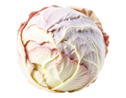 Close-up of a fresh, round cabbage head on a transparent background png