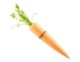 Close-up of a Freshly Harvested Carrot on Transparent Background png