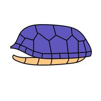 tortoise shell hand drawn color illustration vector