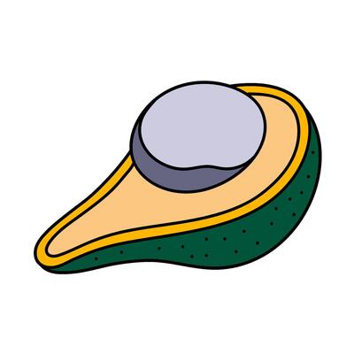 avocado hand drawn color illustration