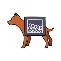 x-ray view of dog skeleton hand drawn color illustration vector