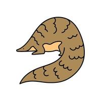 pangolin hand drawn color illustration vector