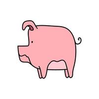 pig hand drawn color illustration vector